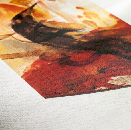 PAPEL FOTOGRÁFICO HAHNEMÜHLE ALBRECHT DÜRER 210g 44"x12m