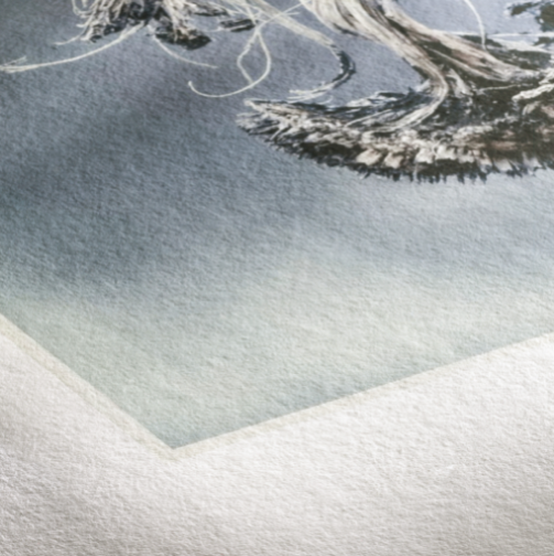 HAHNEMÜHLE MUSEUM ETCHING 350g 10cmx15cm 30 HOJAS PAPEL FOTOGRÁFICO